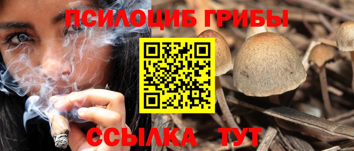 Людиново  Псилоцибиновые грибы GOLDEN TEACHER  Вход с VPN 