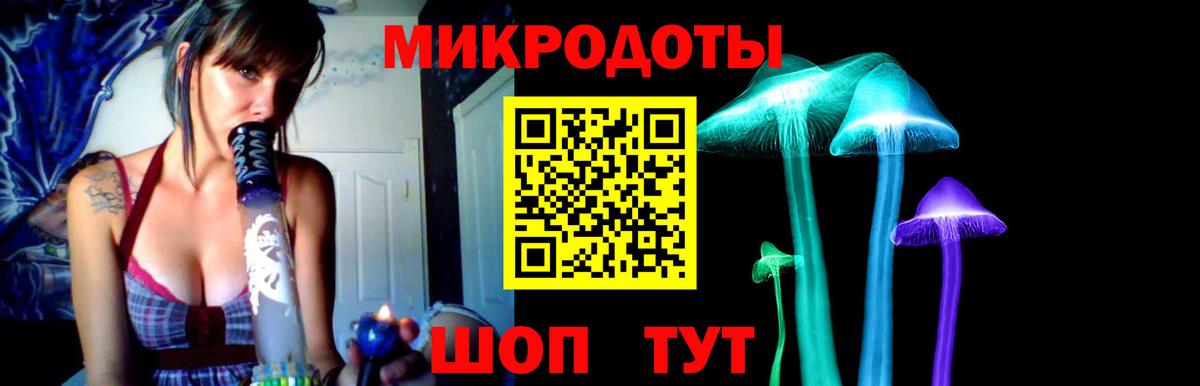 Галлюциногенные грибы Cubensis Людиново